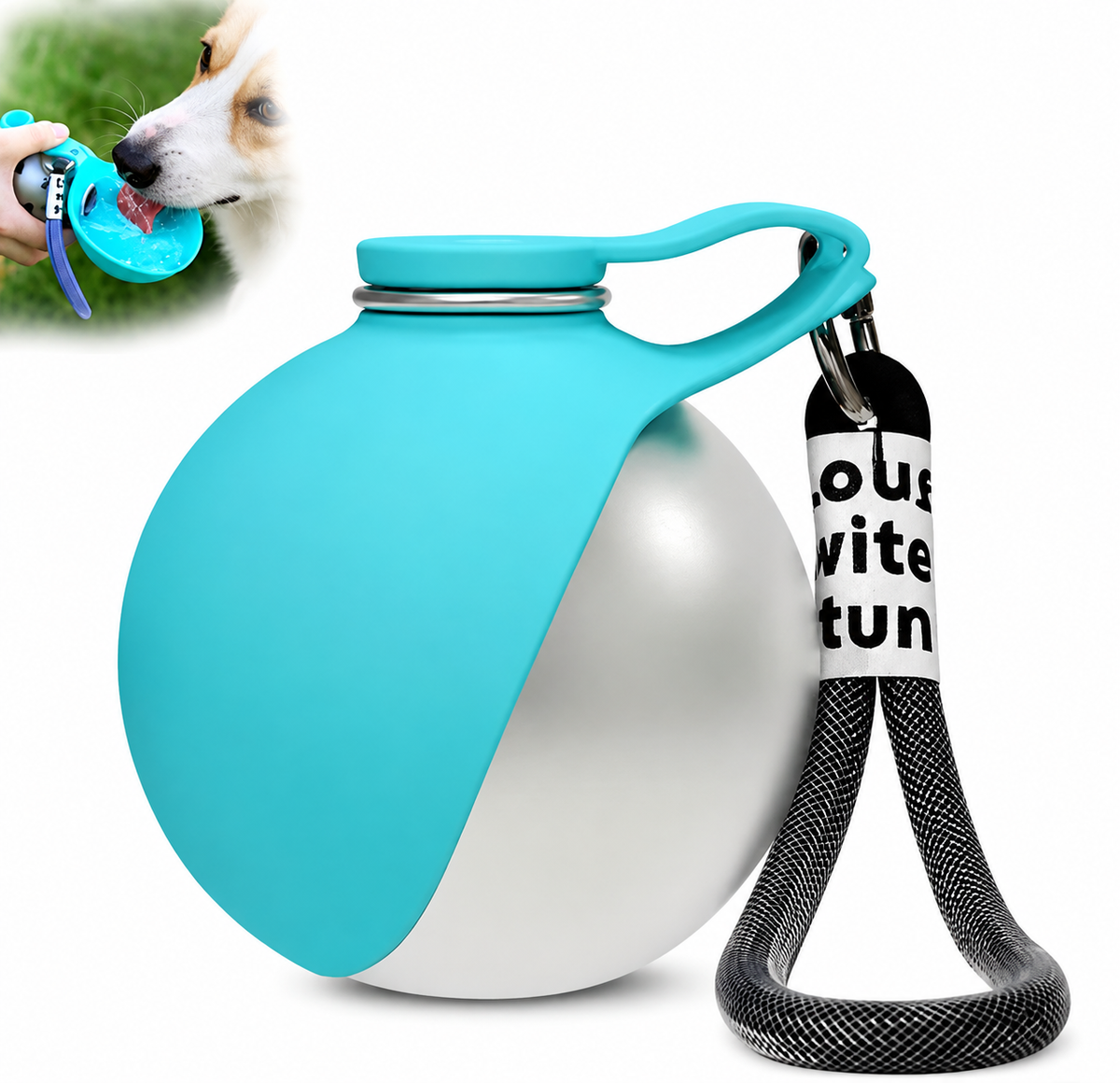 Keep Your Dog Hydrated Anywhere💧